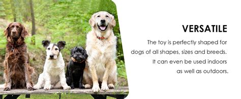 Wobble Wag Giggle Ball - The Best Interactive Dog Toy - Shop Dog Toys ...