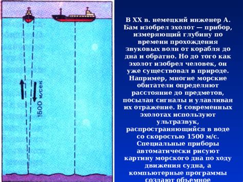 Рельеф дна океана