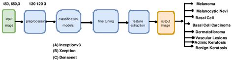 Image result for High Level Design Ai Classification Process