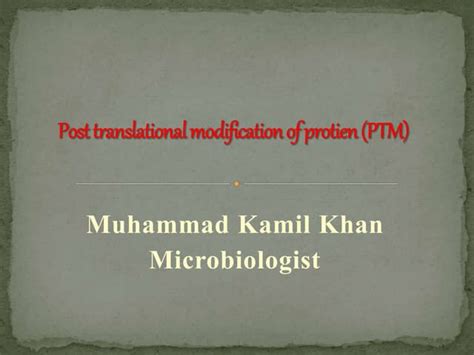 Most Common Post Translation Modification of Protein 的图像结果