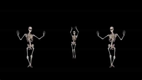 Image result for Projection Loop Download