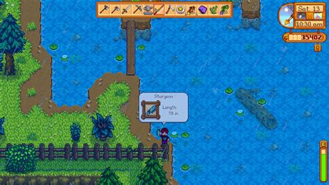 Sturgeon Stardew Valley: Everything You Should Know - KJC eSports