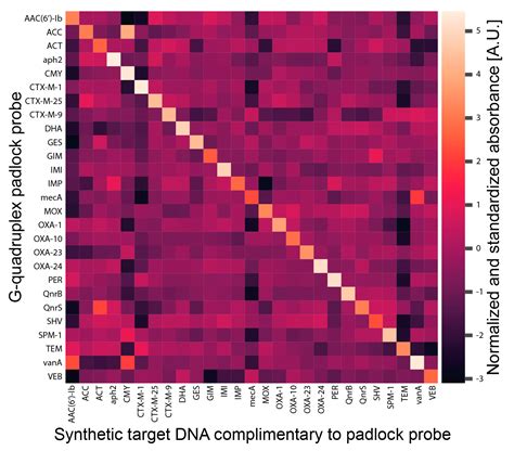 Padlock Probe-Based Generation of DNAzymes for the Colorimetric ...