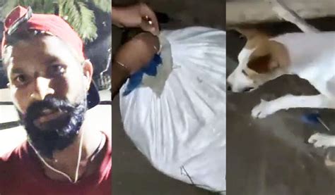 Assam police destroys 'illegal' saw mill in Barpeta district - assam ...