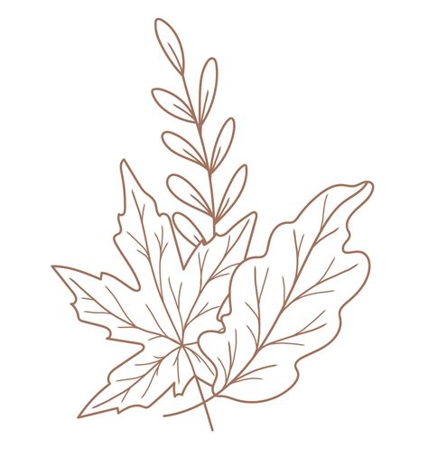 Fall leaf outline isolated on white. Autumn leaves line art. Leaf Line ...