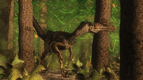 10 Facts About the Velociraptor Dinosaur