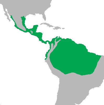 FWC: Learn to spot the differences between native southern toads and ...