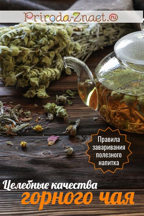 Горный чай – эликсир долголетия от греческих пастухов | Чай, Целебные ...