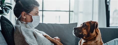 Homepage | Swan Creek Veterinary Clinic