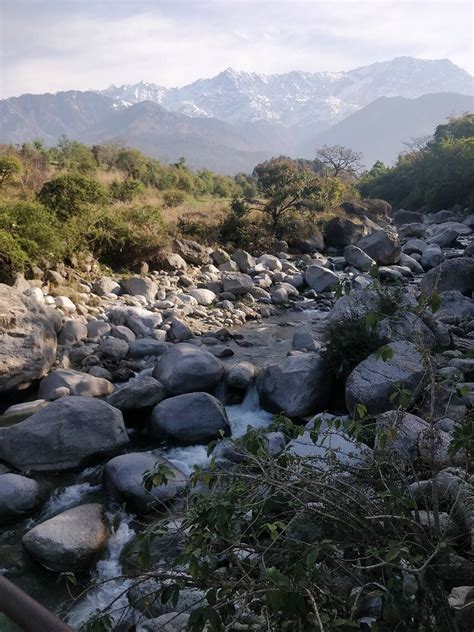 DEV BHOOMI FARMS & COTTAGES (Dharamsala, Asia) - Cottage Reviews ...