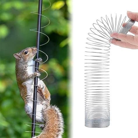 Image result for Squirrel Protector