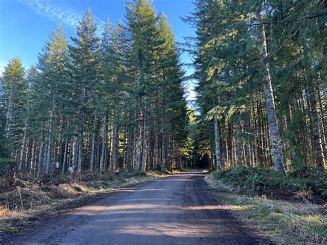 Green Mountain Road, Oregon : Off-Road Trail Map & Photos | onX Offroad