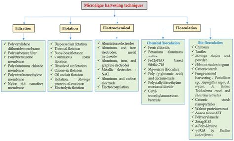 A Review of the Harvesting Techniques of Microalgae