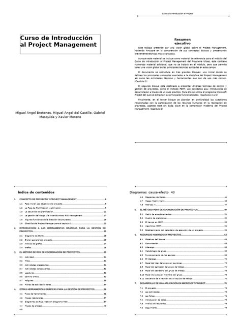 Image result for MS Project PDF