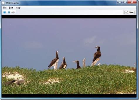 Image result for Open a Video File