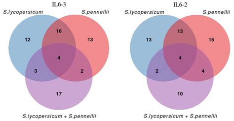 CIMB | August 2024 - Browse Articles