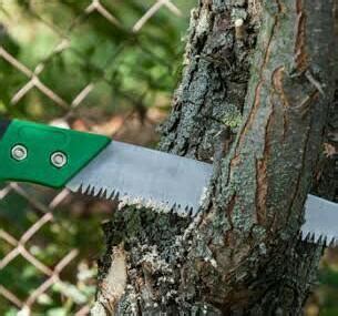 prunning saw in hindi - Brainly.in