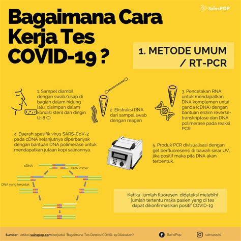 Image result for DNA Polymerase Function