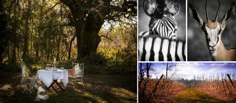 Customer reviews of Vindoux Guest Farm, , Tulbagh