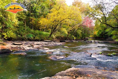 Tar River Life - Hipcamp in Lake Royale, North Carolina