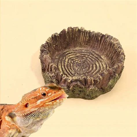 Pet Food & Water Bowls, Reptile Enclosure, Landscape Turtles, Lizards ...