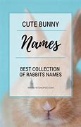 Image result for Cute Bunny Names List