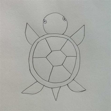 Image result for Simple Turtle Drawing