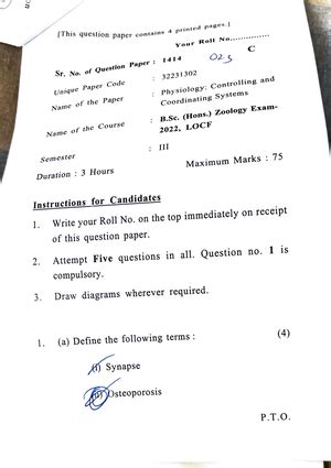 Reproductive system - Unit 5: Reproductive System Reproduction ...