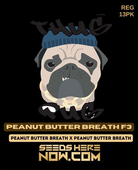 Buy Peanut Butter Breath F3 Regular Seeds - Potent Flavor