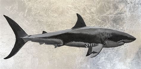 Great White Sharks Drawings