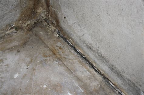 Quick Tips to Repair Leaks in Concrete Foundations and Basements