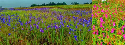 Kas Plateau Committee Website