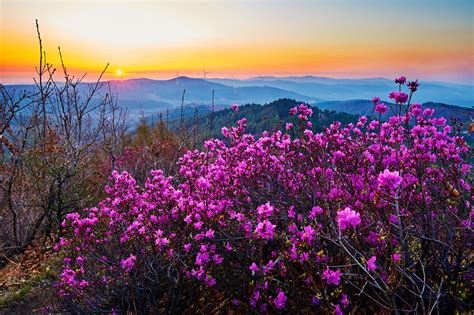 Inner Mongolia Mountains