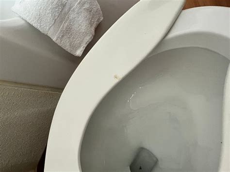 MOTEL 6 BRAMPTON, ON - TORONTO - 2025 Motel Reviews, Photos, Rate ...