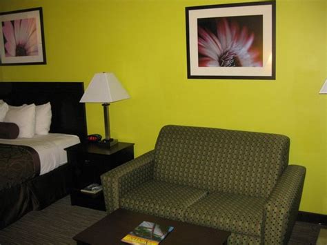DAYS INN BY WYNDHAM ROUND ROCK - Hotel Reviews, Photos, Rate Comparison ...