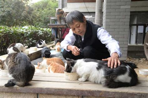 每天花近5个小时喂猫 89岁她是杭州年龄最大的爱喵人-浙江新闻-浙江在线