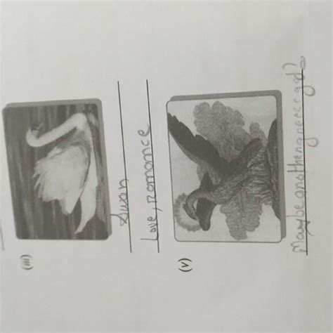 can anyone tell me what animal is nunber 5 and what does it symbolizes ...