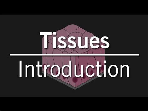 Introduction to tissues - Tissues - Class 9 - Science Video Lecture