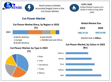 Flower Market Plan 的图像结果