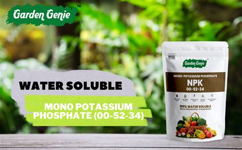 Garden Genie MKP (Mono Potassium Phosphate) NPK 00 52 34 Fertilizers ...