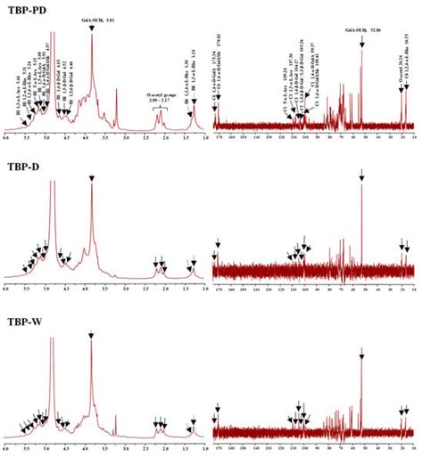 Foods | February-2 2024 - Browse Articles