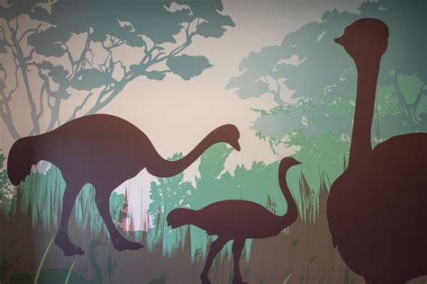 Clackamas | Schedule Pediatric Care Today — Oregon Pediatrics