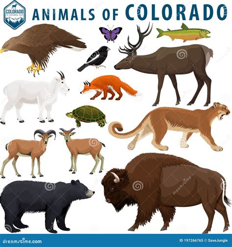 Cutthroat Trout Jumping Drawing Royalty-Free Stock Image ...