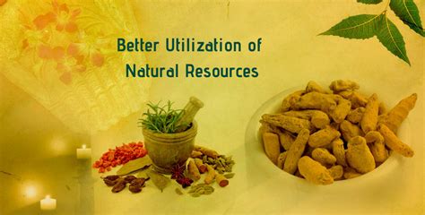 Home [www.ayucarefoundation.in]