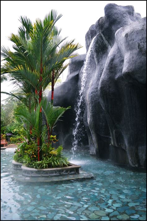 Baldi Spring 的图像结果