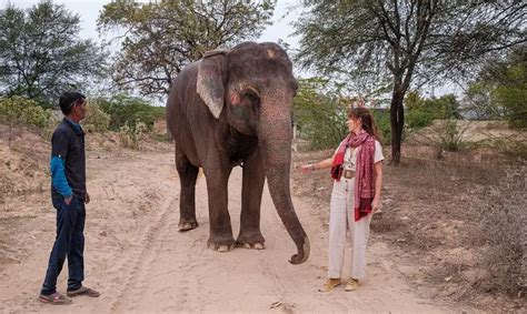 Private Guided Rajasthan Tour India with English-Speaking Driver for ...