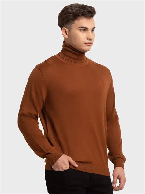 Men Brown Tailored Fit Solid Merino Wool Acrylic Blend Full Sleeve V N ...