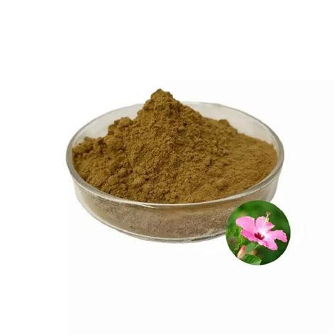 Herbal Extract2 - Corn Silk Extract Manufacturer from Pune