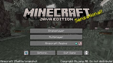 Image result for How to Get Minecraft Java 23