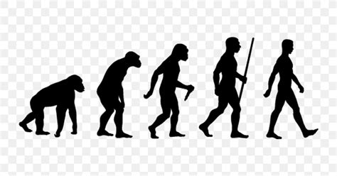 Image result for Evolution Animation
